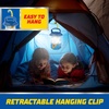 Energizer PAW Patrol Kids LED Lantern, Great Light for Kids, Batteries Included(1 Pack)