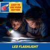Energizer PAW Patrol Lanterns (2-Pack), Paw Patrol Toys for Boys and Girls, Great Lightweight LED Lantern for Kids (Batteries Included)(2-Pack)