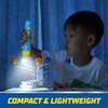 Energizer PAW Patrol Lanterns (2-Pack), Paw Patrol Toys for Boys and Girls, Great Lightweight LED Lantern for Kids (Batteries Included)(2-Pack)