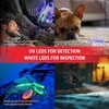 Energizer UV Flashlight Pen Light, LED Handheld Blacklight Flashlight, UV + White LED, Detector for Dog Pet Urine Stains, Bed Bugs and Scorpions (Batteries Included)(Black)